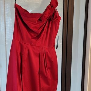 Beautiful cocktail Dress for night out.